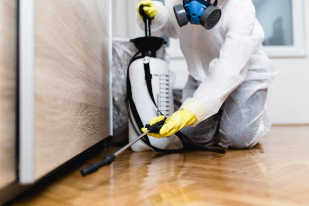 Best Pest Inspection Near Me  in Saddle Rock, NY