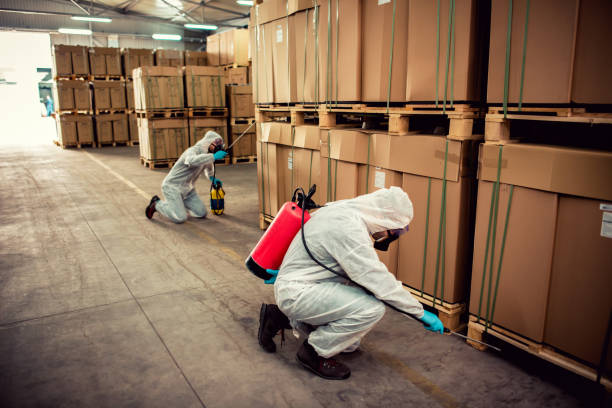Best Mosquito Control Services  in Saddle Rock, NY