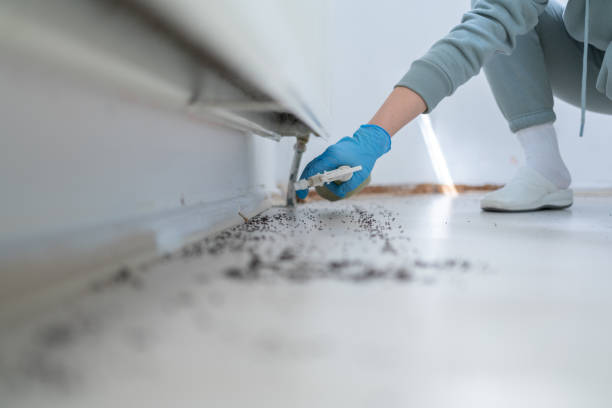 Best Pest Inspection Near Me  in Saddle Rock, NY